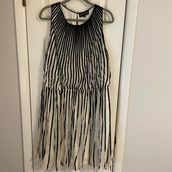 Anthropologie Dresses & Skirts - Anthropologie White and Black Dress NWT